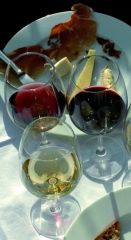 L Atelier du Vin / Подарочный набор Викторины по Вину  для любителей и профессионалов! на англ.яз